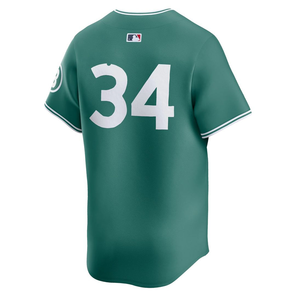 Boston Red Sox David Ortiz Nike 2025 City Connect Limited Retired Player Jersey - Green