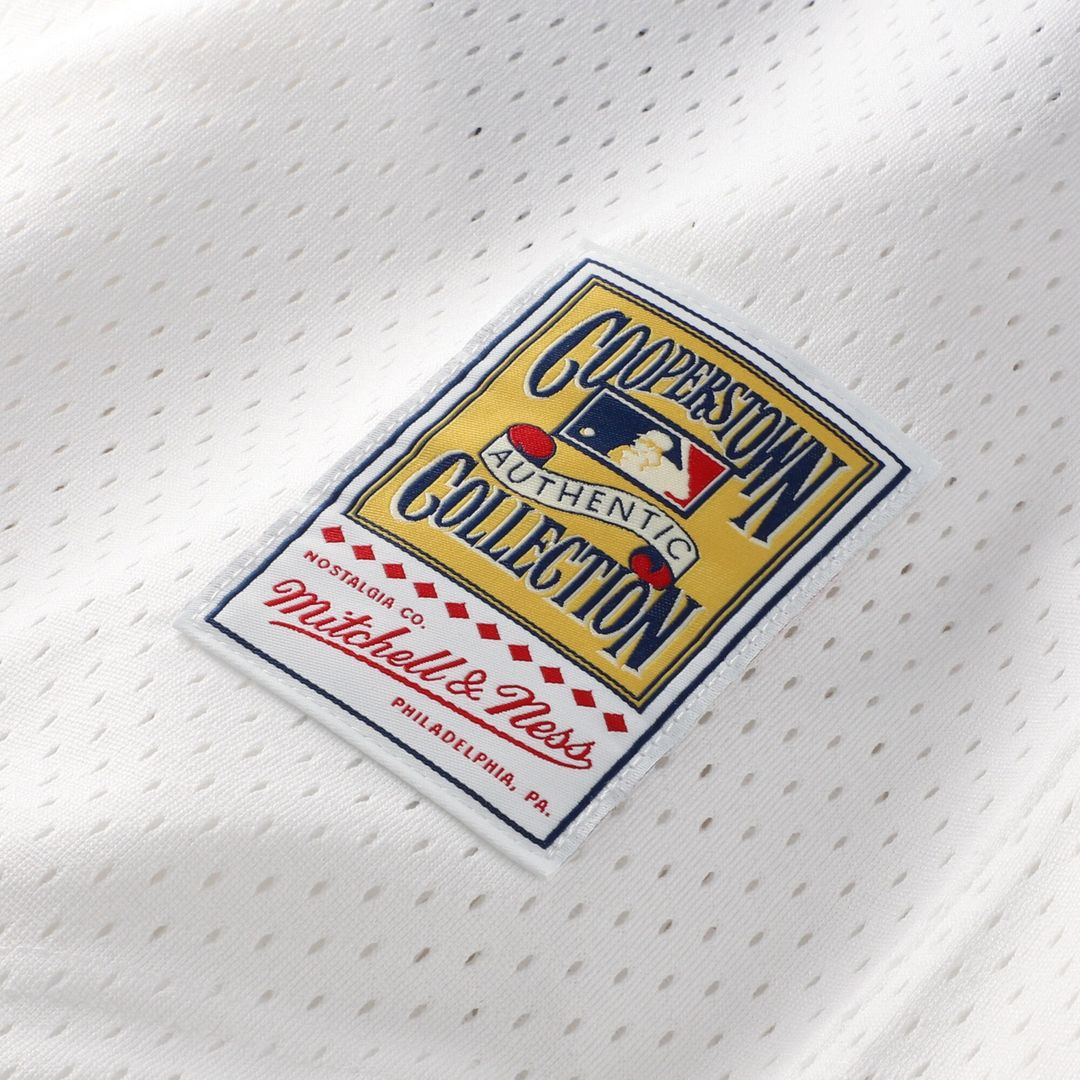 Chicago White Sox Carlton Fisk Mitchell & Ness Authentic Batting Practice Jersey - Navy