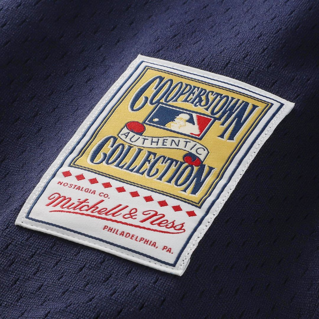 St. Louis Cardinals Ozzie Smith Mitchell & Ness Authentic Batting Practice Jersey - Scarlet