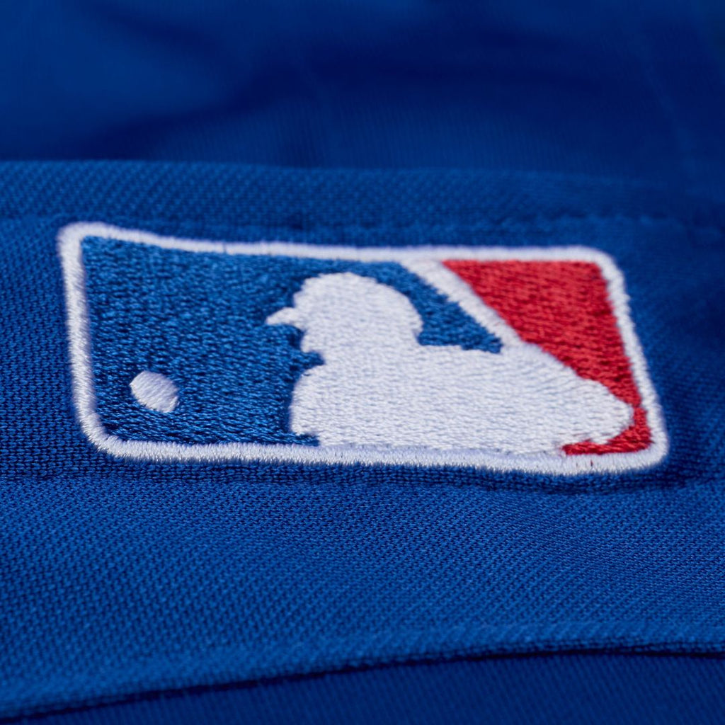 Texas Rangers Adrian Beltre Mitchell & Ness Cooperstown Mesh Batting Practice Button-Up Jersey - Royal