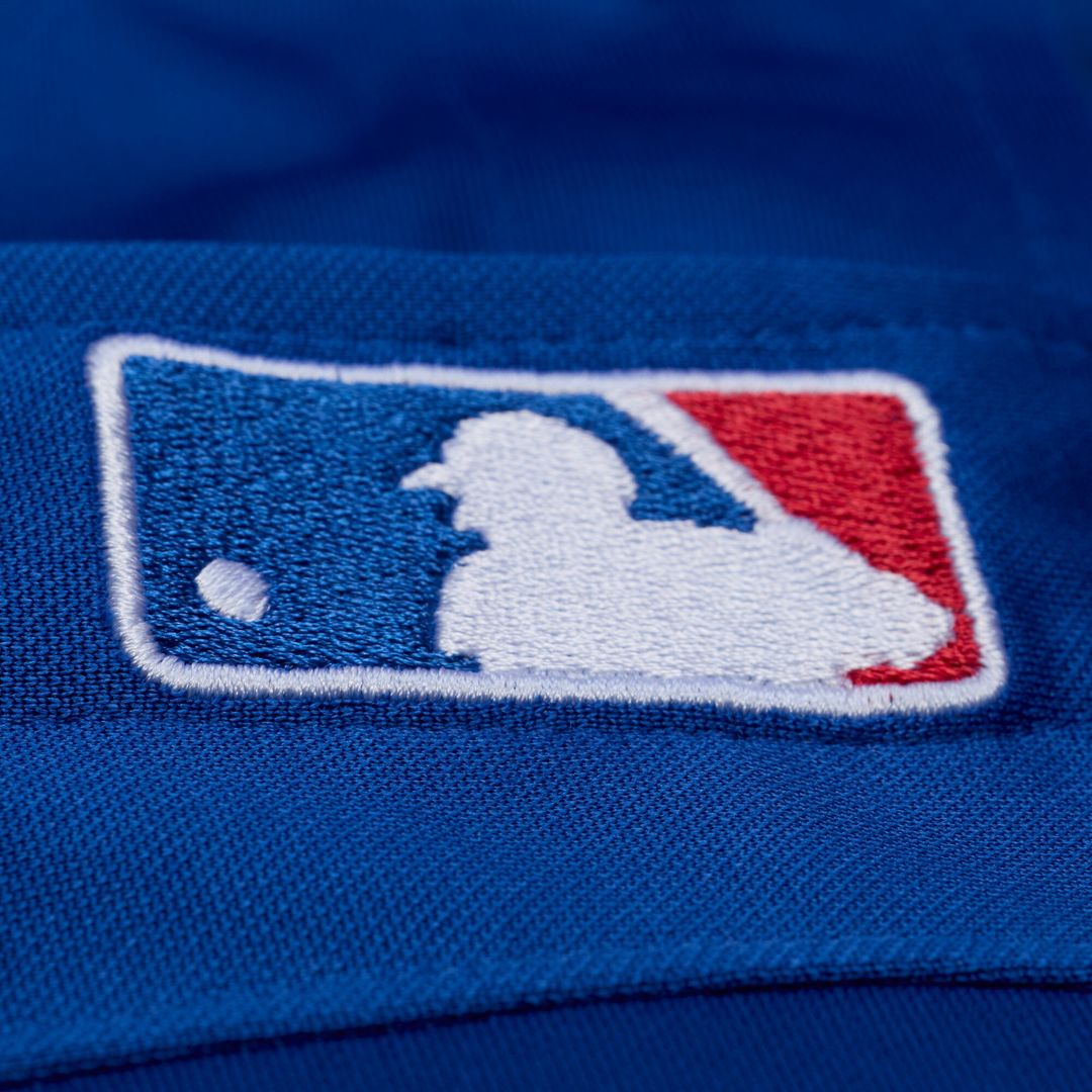 Texas Rangers Adrian Beltre Mitchell & Ness Cooperstown Mesh Batting Practice Button-Up Jersey - Royal