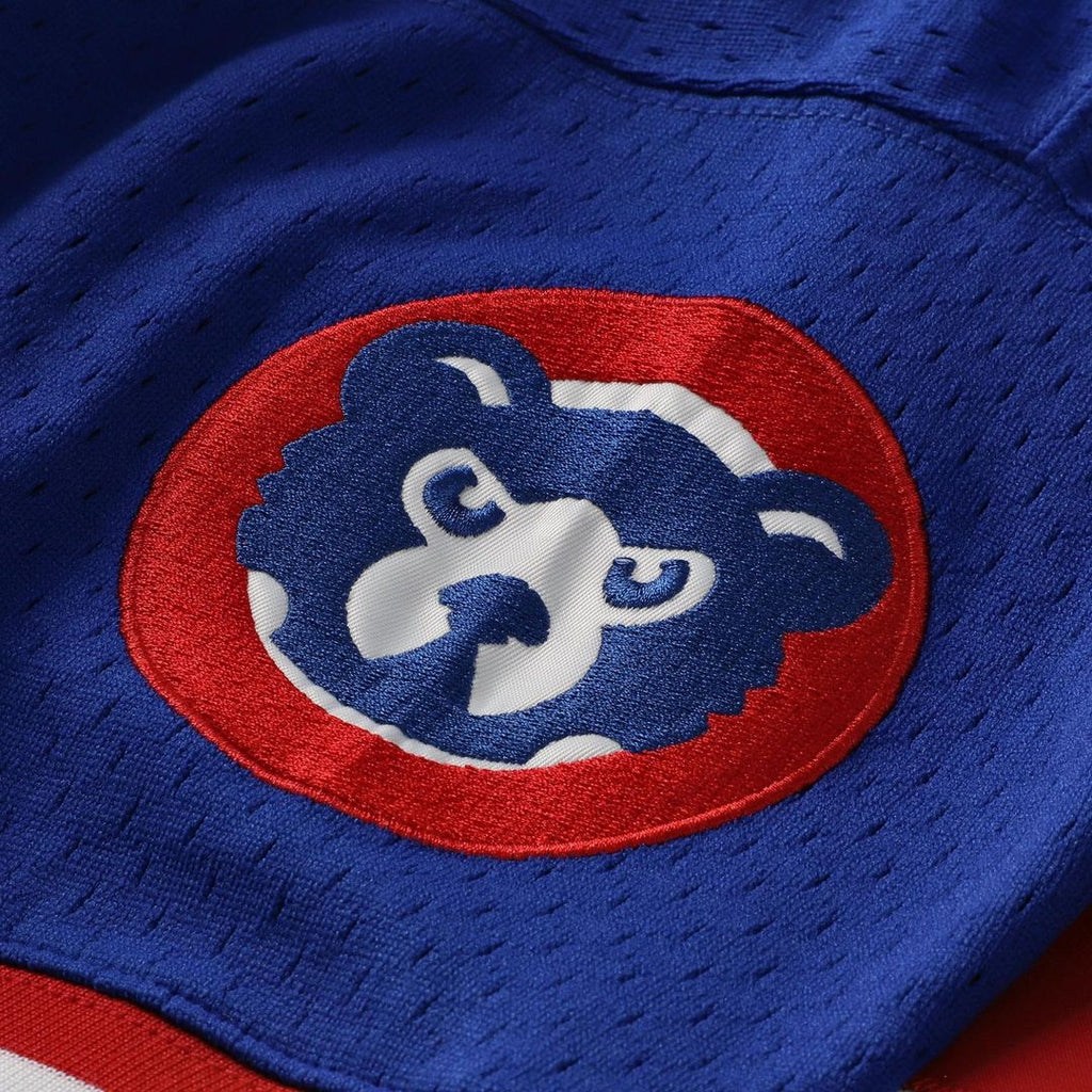 Chicago Cubs Ryne Sandberg Mitchell & Ness Cooperstown 1996 Mesh Batting Practice Button-Up Jersey - Royal