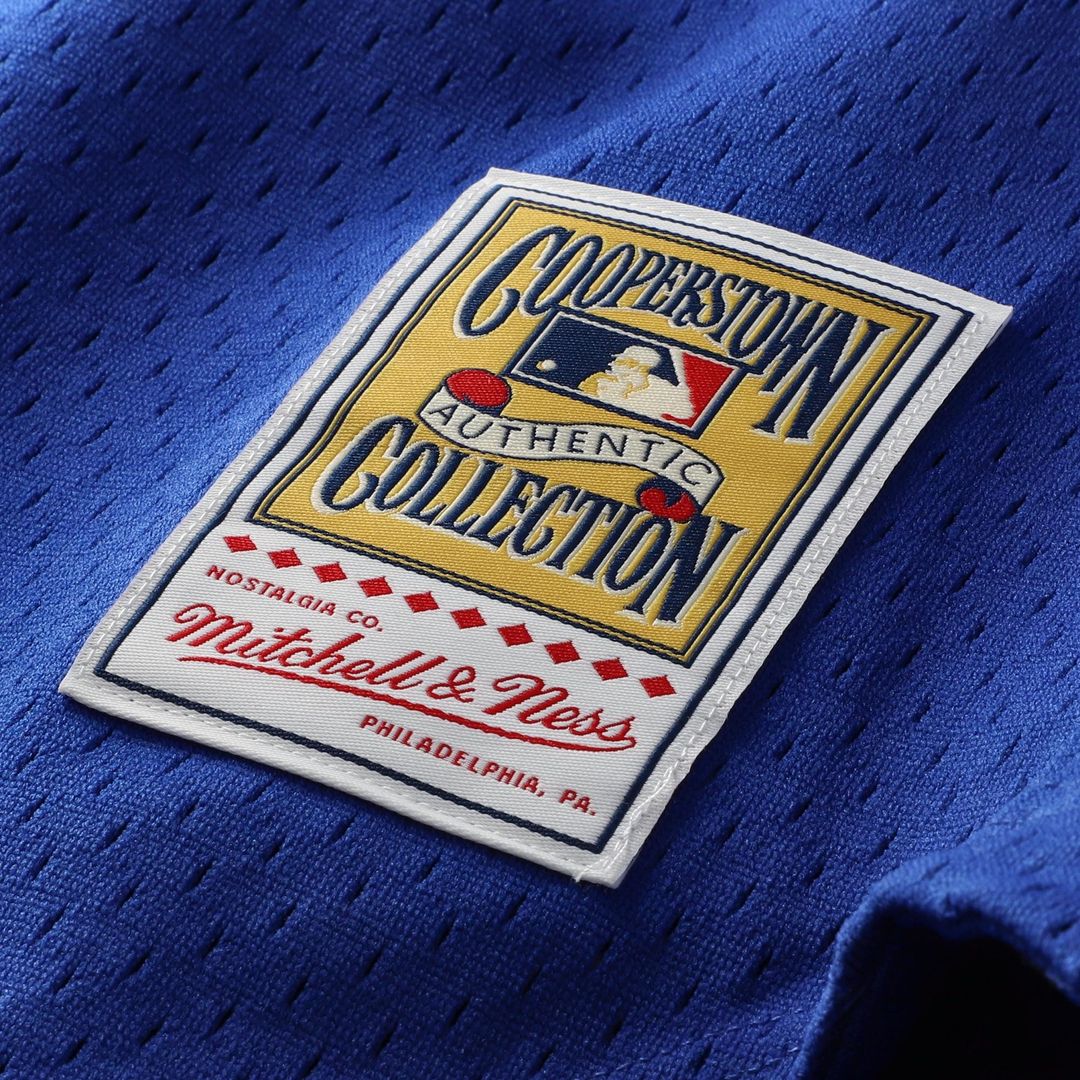 Chicago Cubs Ryne Sandberg Mitchell & Ness Cooperstown 1997 Mesh Batting Practice Button-Up Jersey - Royal