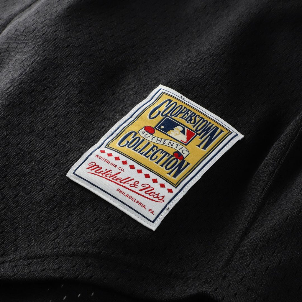 Arizona Diamondbacks Randy Johnson Mitchell & Ness Cooperstown Mesh Batting Practice Button-Up Jersey - Black