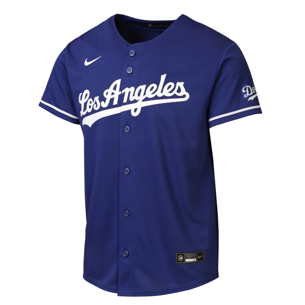 Los Angeles Dodgers Nike Youth Alternate Stadium Jersey - Gray