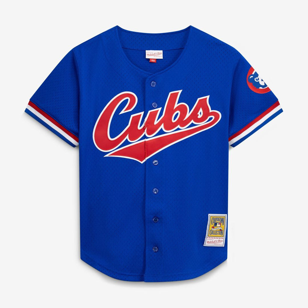 Chicago Cubs Ryne Sandberg Mitchell & Ness Cooperstown 1996 Mesh Batting Practice Button-Up Jersey - Royal