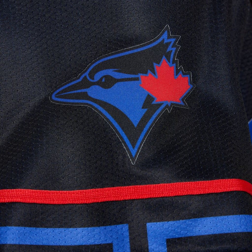 Toronto Blue Jays Vladimir Guerrero Jr. Nike Women's 2024 City Connect Limited Jersey - Navy