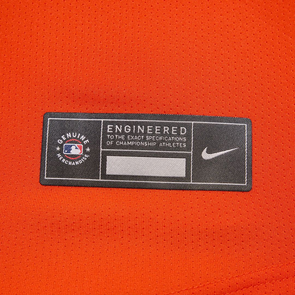 Baltimore Orioles Adley Rutschman Nike 2nd Alternate Limited Jersey - Orange
